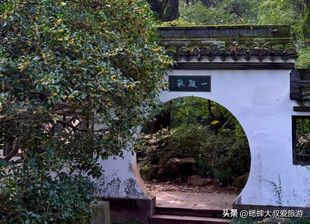 杭州“绝美秋景”正式上线，桂花与人文相映成趣，来一趟，很治愈