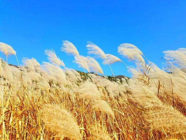 初冬赴高桥：山水藏诗 古迹含情