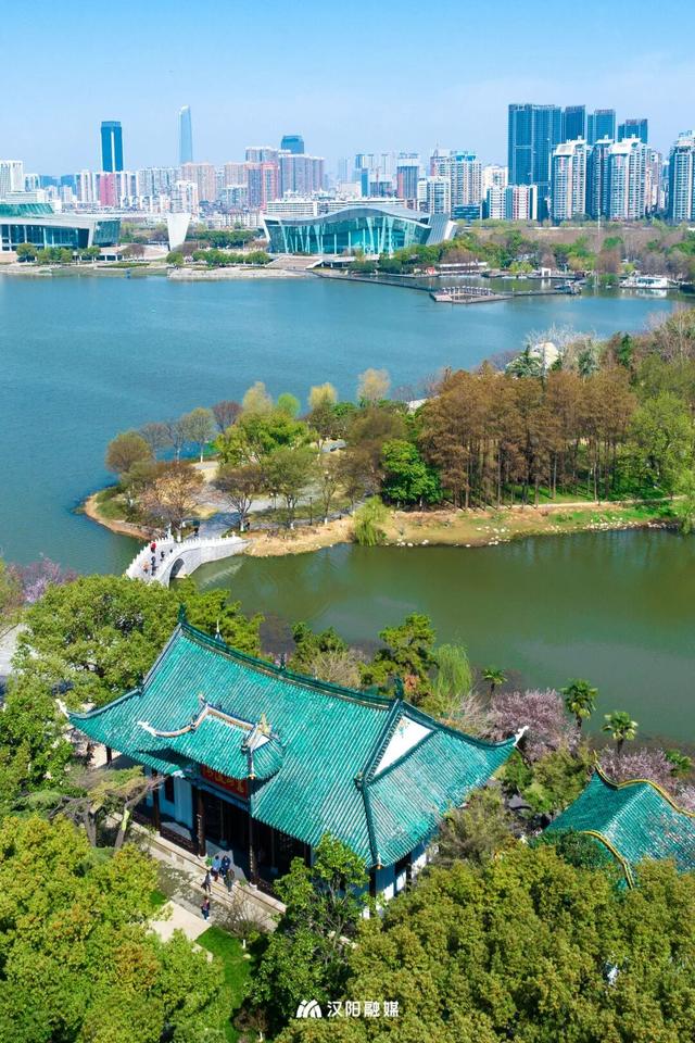 汉阳官宣：5.5万个车位免费停！十一请嗨玩！