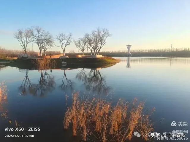 初冬北京朝阳坝河金盏淀:清寒里的静美画卷|申艳娟