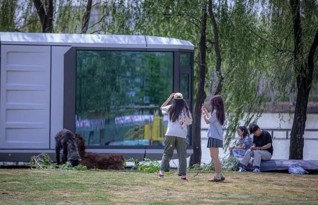 开学周末去哪玩？枣庄在校大学生游台儿庄古城门票免费，解锁秋日研学+打卡双重体验