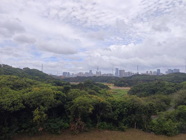 西丽湖国际科教城绿道高清随拍