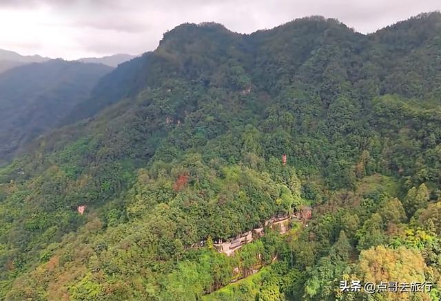 成都大邑爆火彩林，小牛背山、小喀纳斯这里都有，超级惊艳！