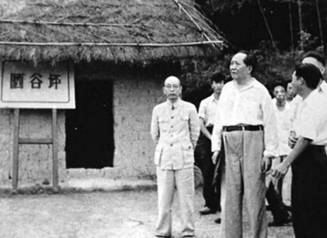 1959年毛泽东重返韶山，发现父母坟头有个小洞，当即做了一个动作