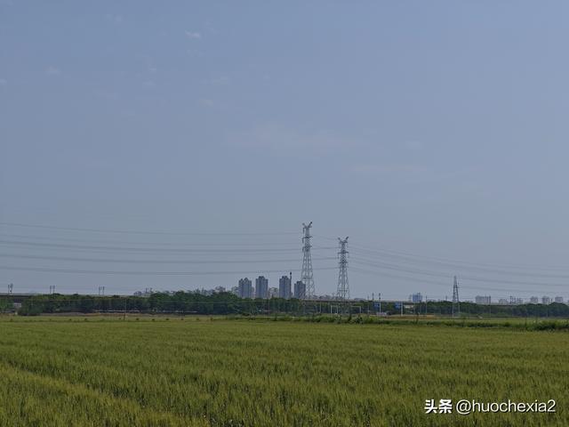 隔壁的城市走一走——镇江丁岗五七林场
