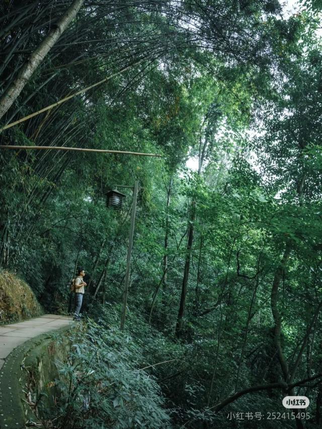 全部免费！成都周边10条最适合9月的徒步线，沿途风光美爆！当天来回不费腿！