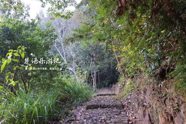 浙江宁波的桃源秘境，古枫香扼守村口成迎客盛景，玻璃栈道更好玩
