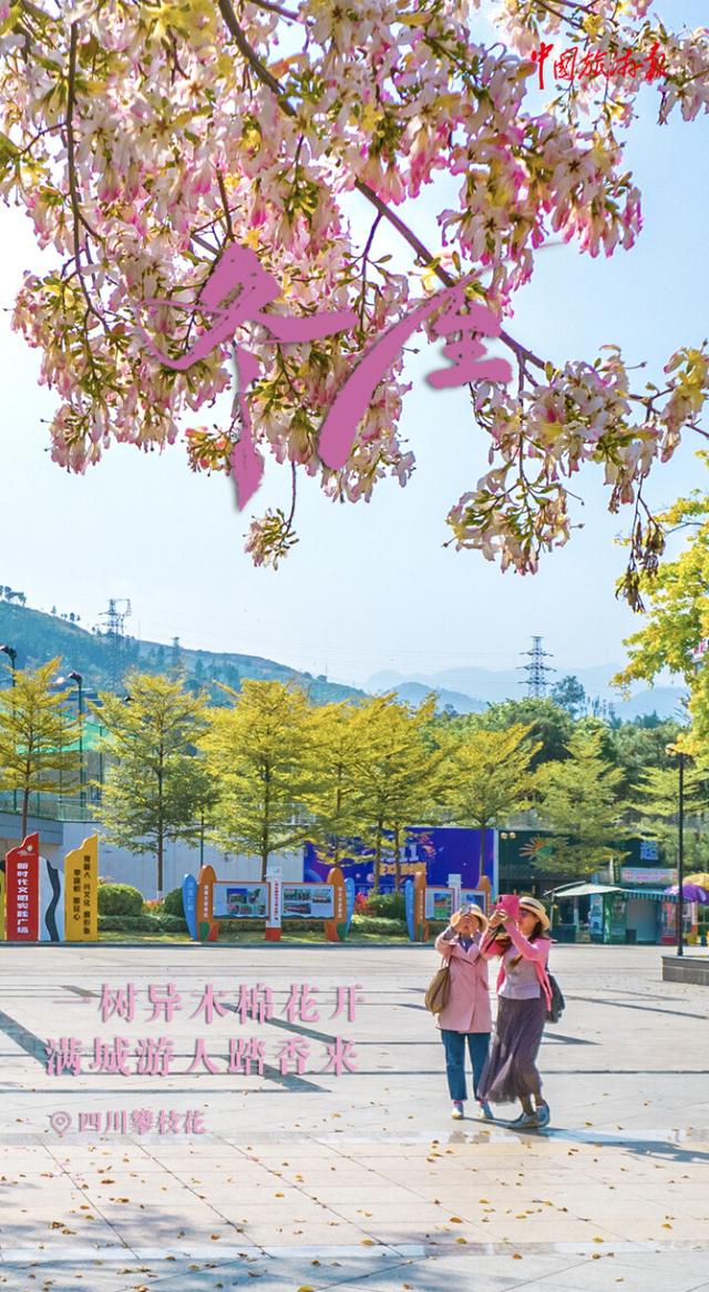 冬至丨冬日浪漫加载中！快把这些限定风光打包收藏