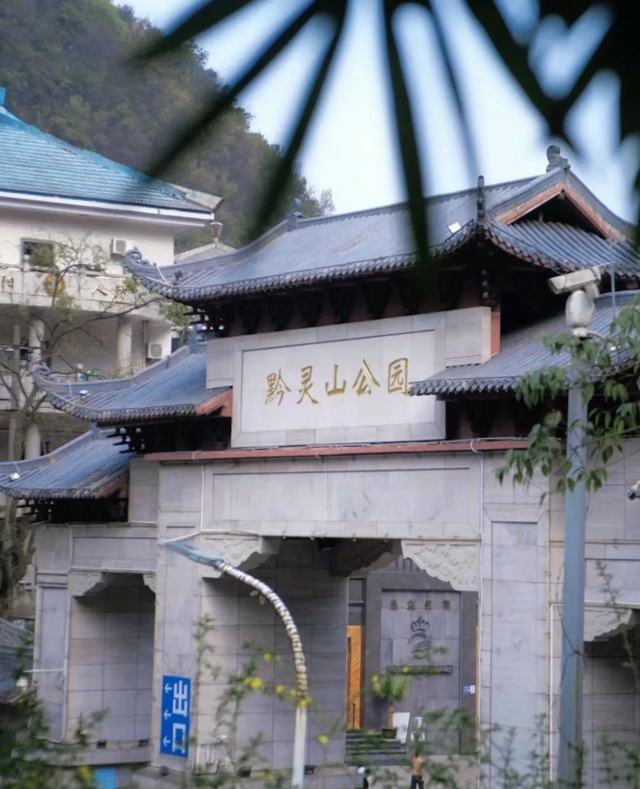 黔灵山猴子抢零食、扒背包，为什么还游人不断？该如何防猴？