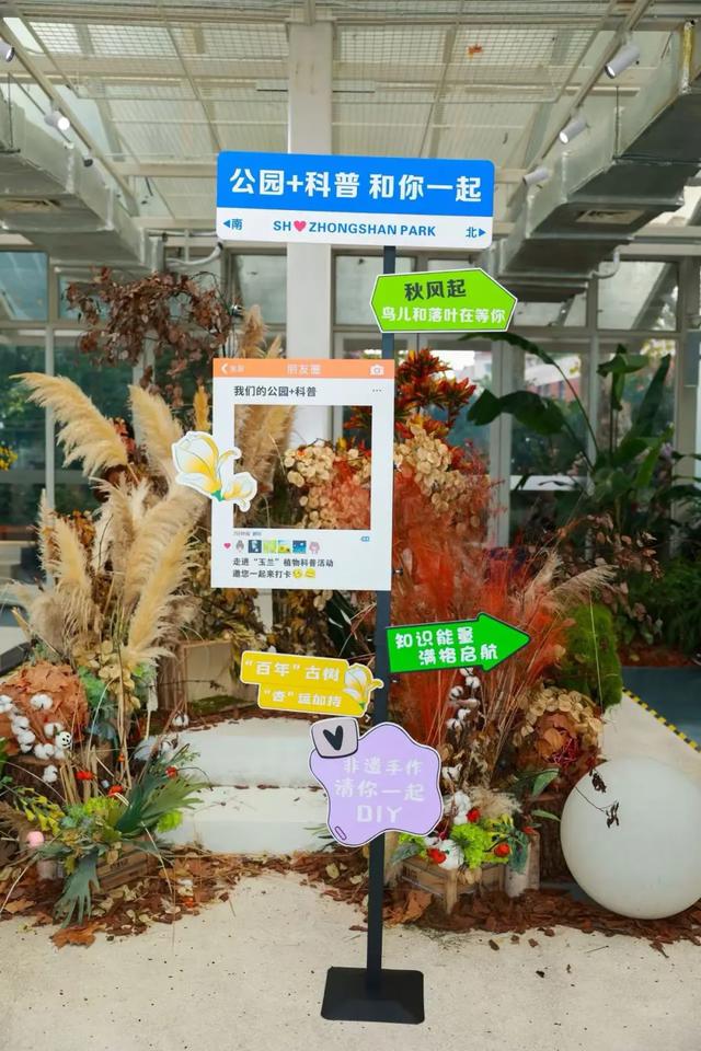 上海解锁“千园之城”，遛娃拍照吸氧圣地，哪个是你最爱？