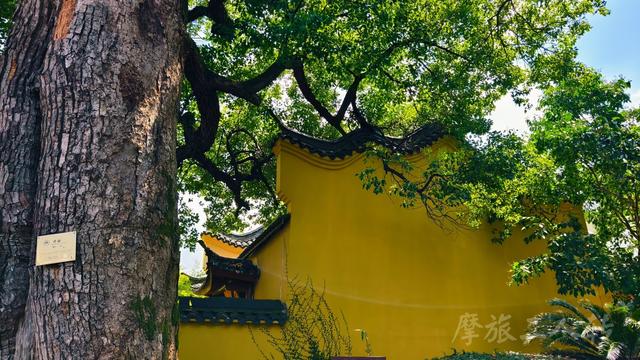 皖浙摩旅二人转——桐庐荻浦村篇