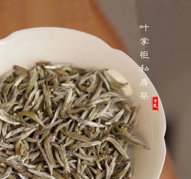 政和白茶：藏在深山里的“月光美人	”，一口就沦陷！