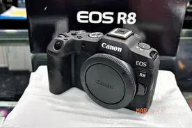 2025新手避坑指南！单反、微单、黑卡三选一，看完再买不踩雷图片