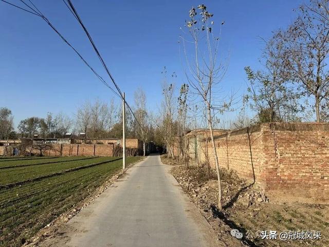 冠县乡韵·贾镇荆楼村