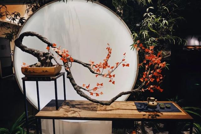 人挤人的南京，现在还值得去吗？