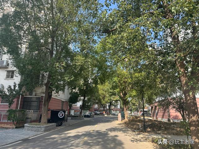 文峰园漫记21，过冬