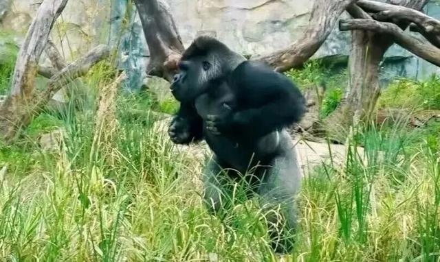 快查！你中奖了没