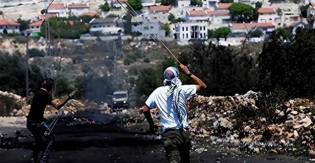 巴勒斯坦七旬农民橄榄林被毁，真相曝光，令人心寒