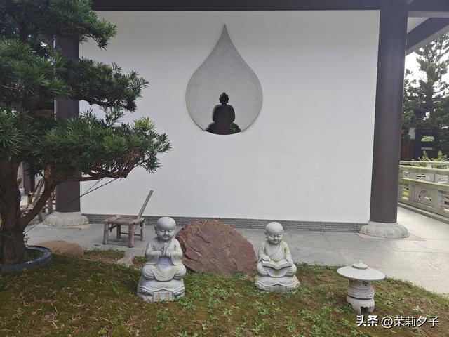 福鼎市区一日游：从白茶发源地到市井小吃赏唐风建筑品山海韵味