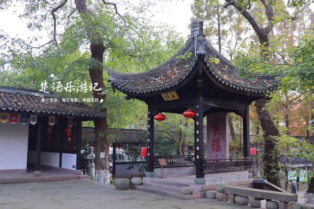 浙江宁波这座山巅古寺的银杏火了，红枫与水杉林也很美，堪比油画