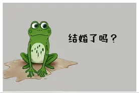 盘点那些搞笑又不失礼貌的已读乱回图片