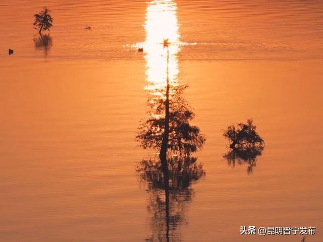 滇池南岸 浮光跃金