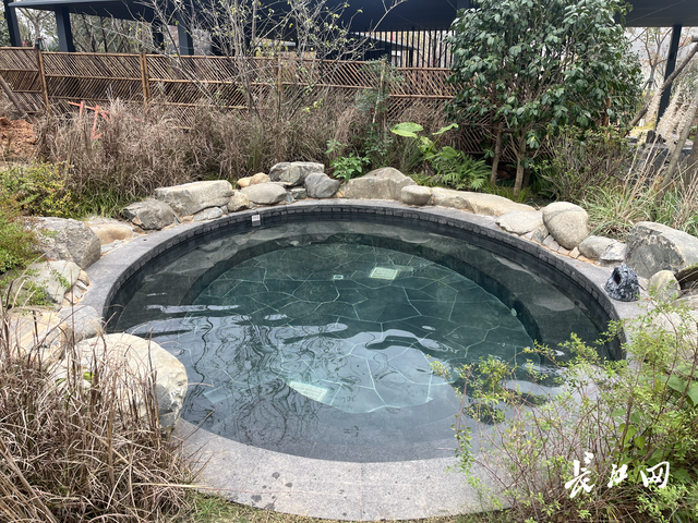 寻“味”咸宁，温泉美食令武汉摄影家沉醉