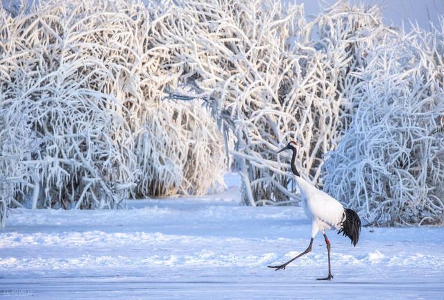 中国最 “遗憾” 的城市，曾是东北工业重镇，如今 GDP 不及沿海县城