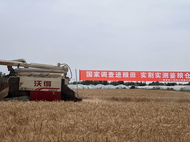 中国最不好惹的一个省！半个中国都要依赖它，还能在战时承接产业