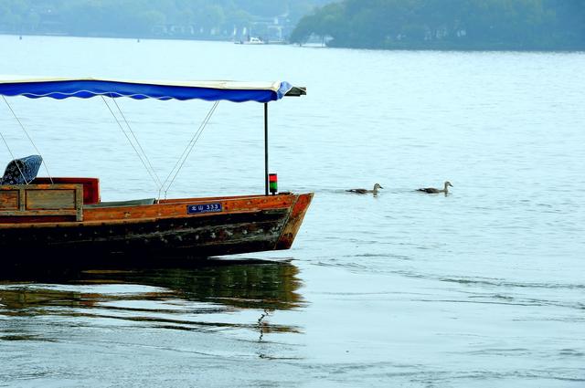 西湖：一砚秋水写晨光