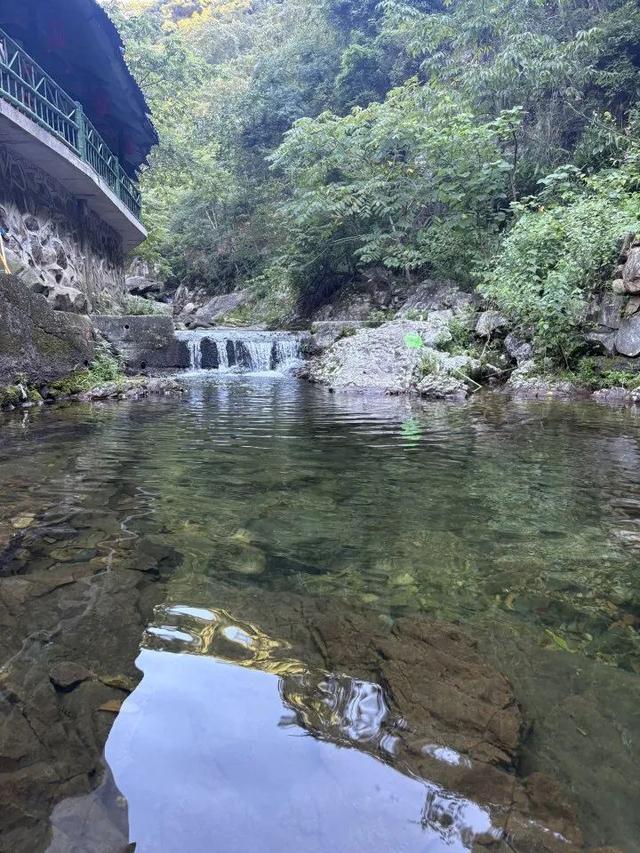 21.7℃的夏天！天目山麓藏了个“神仙村落”丨包个村子避暑去⑧