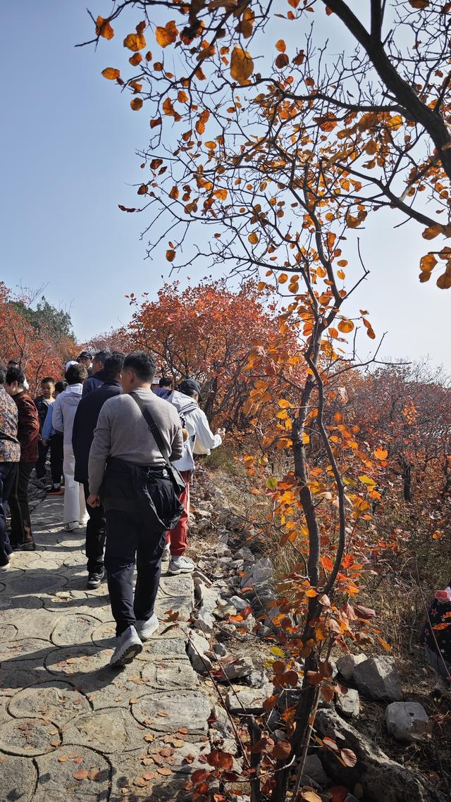 秋色如画，晒出你的秋！