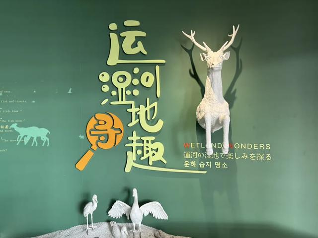 扬州旅游别再去瘦西湖东关街了,这样玩才是最好的打开方式