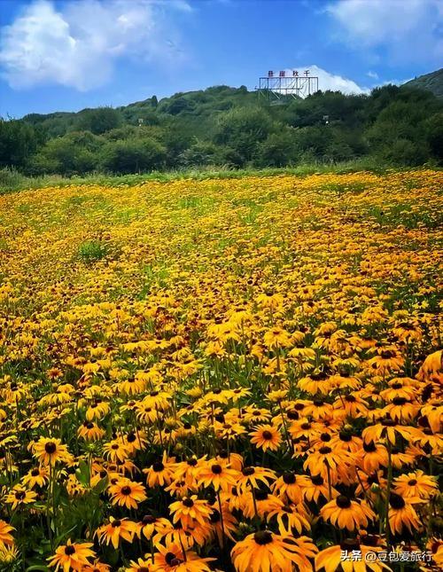 海东市深度旅行攻略：青藏门户的人文自然之旅
