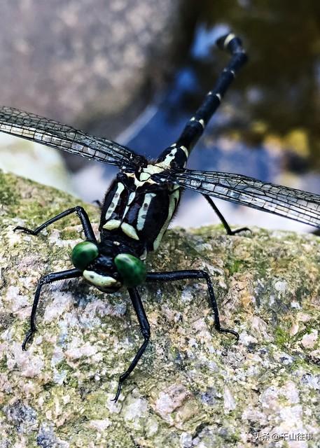 单人独骑：骑行的终极浪漫，内心强大才是硬核装备