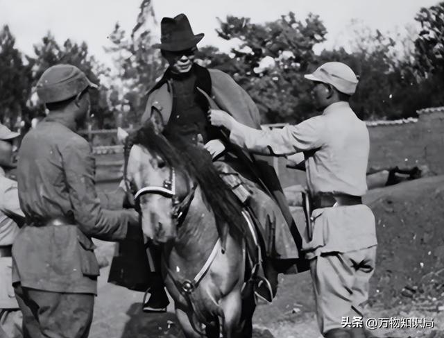 “云南王”龙云妻子有多美？被称云南一号美人，眉眼温婉气质端庄