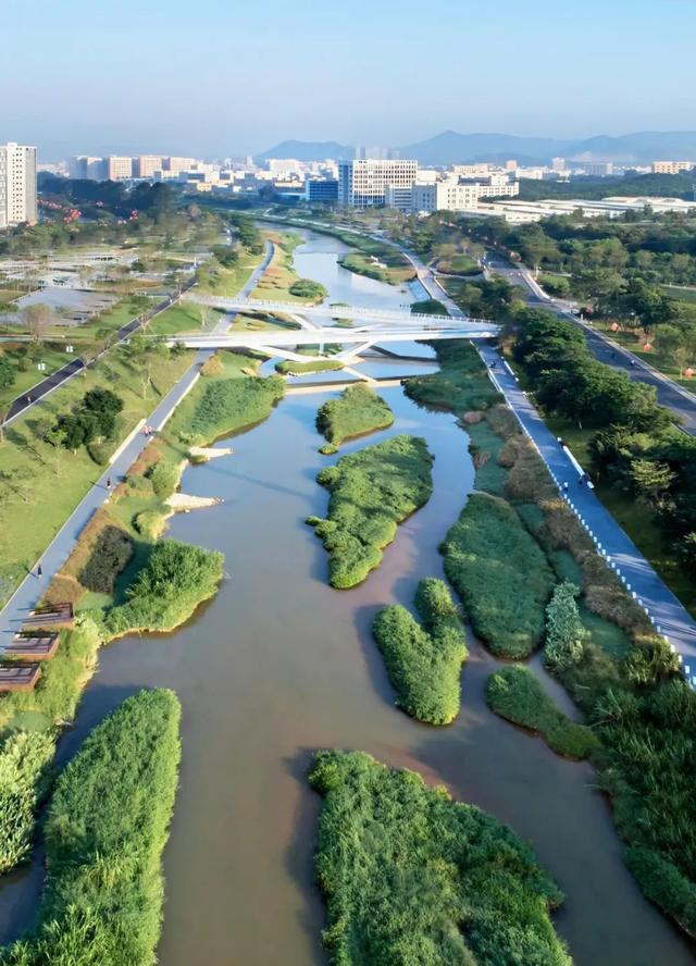 大美湿地“深”有诗意