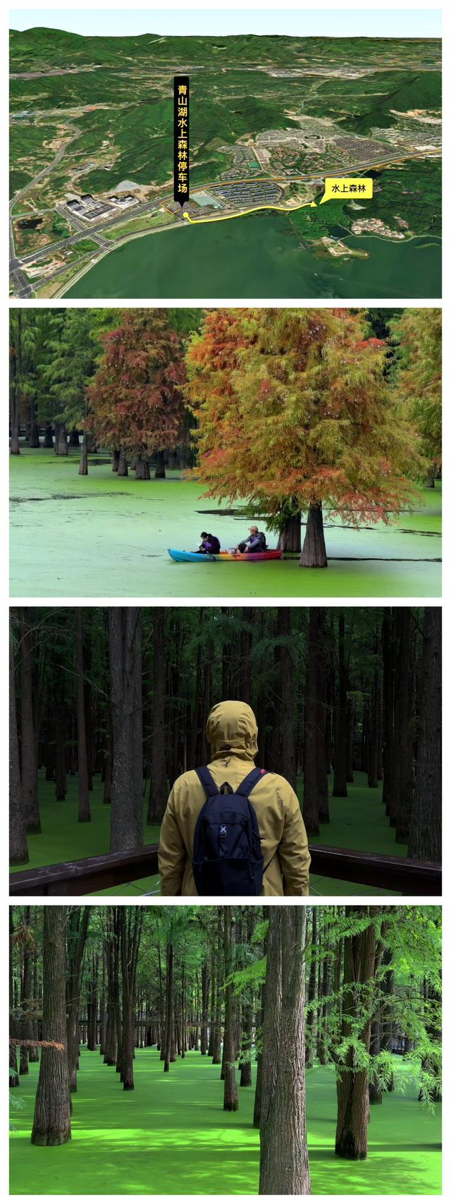 小而美自驾路线：临安大鱼线+s218省道，值得收藏