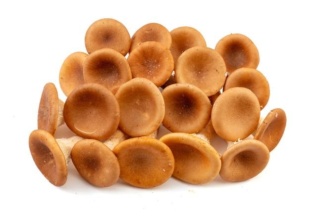 它是唯一含维生素D的蔬菜，又是“天然硒库”，老人孩子要常吃