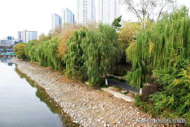 彩虹桥（亚星桥）·及其它