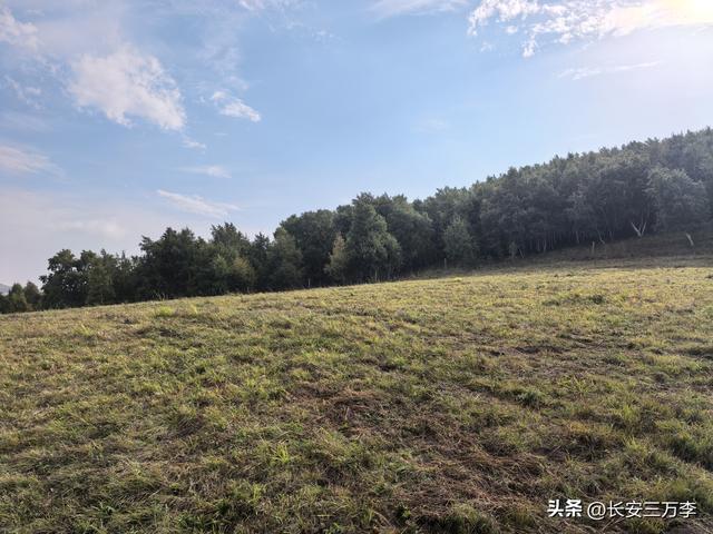 北上大草原第7站：入住贡格尔草原深处