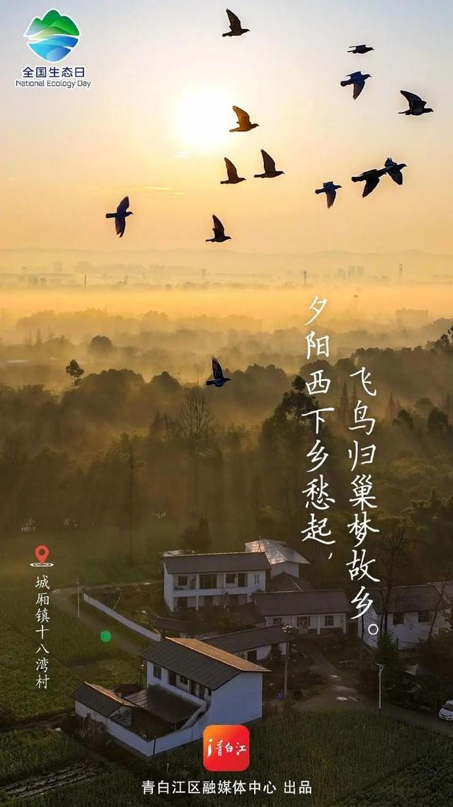 全国生态日 ，成都青白江邀你一起“森”呼吸~