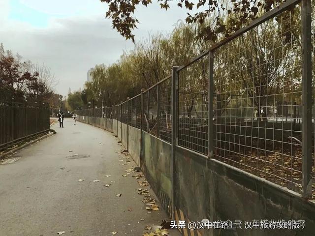 二〇二五年十二月七日，再去看看莲花池公园