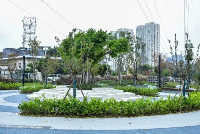 初冬色彩+N！街角美得藏不住→