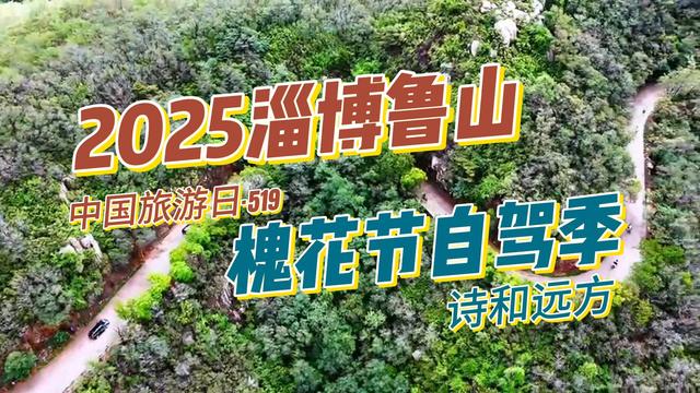 【中国旅游日文旅嘉年华】2025鲁山槐花节自驾季启幕！