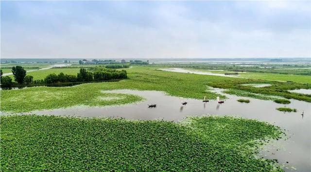 微山湖
