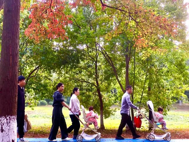 秋色斑斓美如画