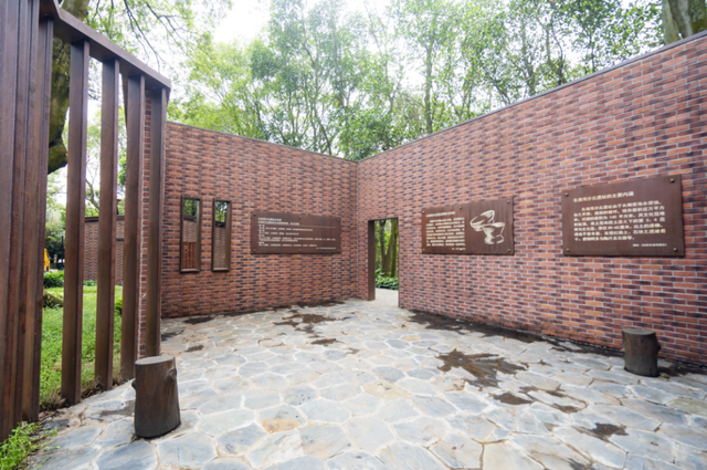 珠海5000年沙丘遗址秘境，免费开放！