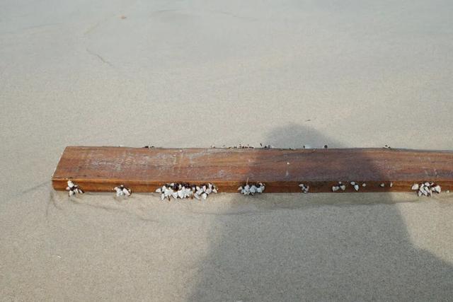 最好玩的香港，一定不在城里！