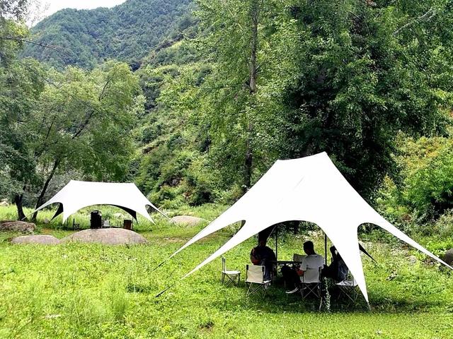 礼县文旅热力全开｜这个夏天，遍地是“爆款”